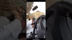 mit einem kamel spielen und spas