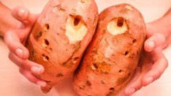 Mit Kürbis & Kartoffel Musik machen mit kuerbis kartoffel musik mach