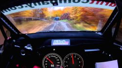 Mit über 200 Sachen durch einen Wald mit ueber 200 sachen durch einen