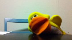 mr quack laber nicht