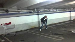 mutig oder einfach nur dumm