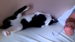 Nach dem Spielen aber schön aufräumen nach dem spielen aber schoen auf