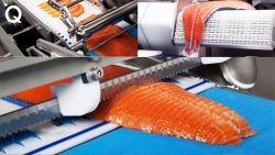 nahrungsmittelmaschinen stellen