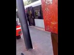 Nie wieder schwarz fahren in Bahn und Buss nie wieder schwarz fahren in bah