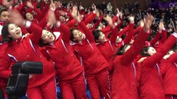 nordkoreanische cheerleader bei