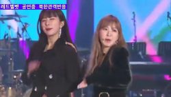 north korean reaction to k pop k