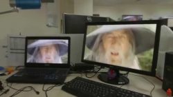 omg gandalf ist ueberall