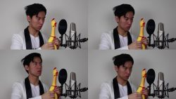 pachelbels chicken song