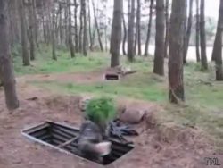 pannen bei der bundeswehr