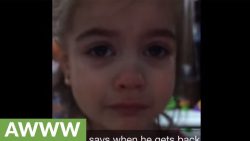 papa hat vergessen sich zu verab