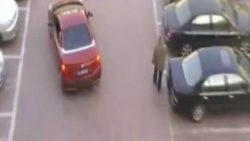 Parkplatzklau einfach nur dumm gelaufen parkplatzklau einfach nur dumm g