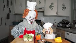 pennywise und der hund kochen si