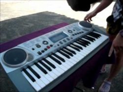 pferd spielt keyboard