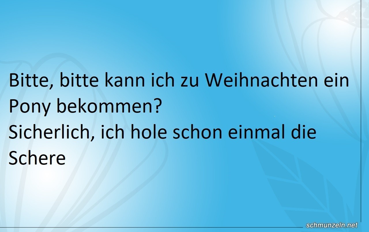 Ein Pony zu Weihnachten bekommen Ein Pony zu Weihnachten bekommen