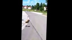 Praktikant wird verarscht praktikant wird verarscht