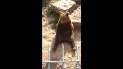 probier es mal mit gemuetlichkei