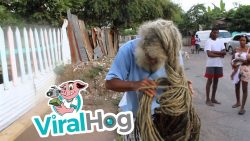 Rasta Mann mit extrem langen Haaren rasta mann mit extrem langen haa