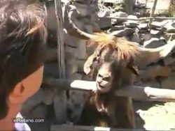 reporter unterhaelt sich mit ein