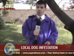 reporter vs vogel vogel greift r