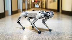 roboter hund kann nun auch backf