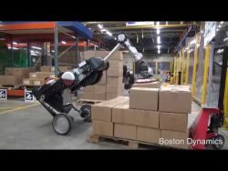 roboter strauss als lagerarbeite