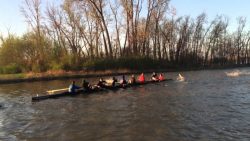 ruderer fahren durch fischschwar