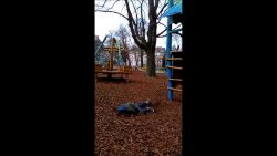 rutsche ich oder springe ich lie