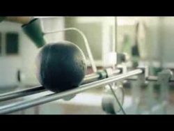 schweizer sirenentest schaf