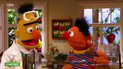 sesamsaasse erntie und bart