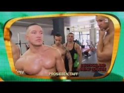 Sixpacks und Intelligenz vereint sixpacks und intelligenz vereint