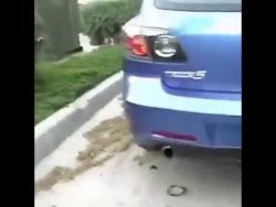 skateboard trick mit einem auto