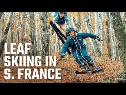 skifahren im herbst im wald auf