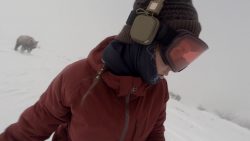 snowboarderin wird vom baer verf