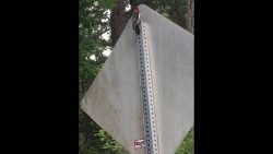 so ein holzkopf dieser specht