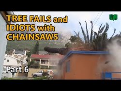 So fällt man doch keinen Baum so faellt man doch keinen baum