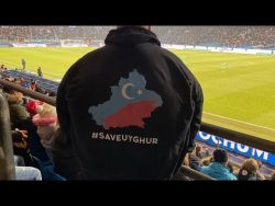 So kommt ein Flitzer auf das Fußballfeld so kommt ein flitzer auf das fus