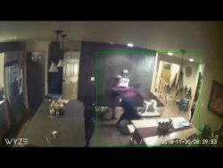 so sieht ein erdbeben bei 78 aus