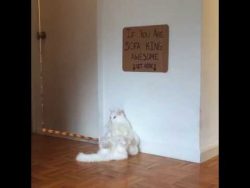 sofa king awesome gesucht