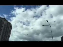 soll man nun fahren oder doch li