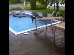 sprung in einen pool vom tisch a