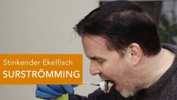 SURSTRÖMMING Challenge - wer traut sich? surstroemming challenge wer trau