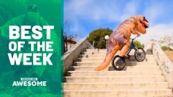 t rex bmx more odd skills best o