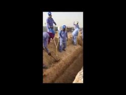 teamwork bei der arbeit