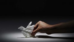 tiere aus taschentuechern bastel