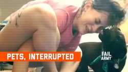 Tiere mischen sich ein und stören tiere mischen sich ein und stoer