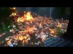 till brennt den garten ab