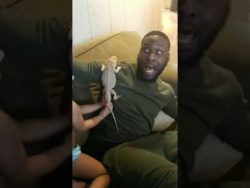 tue die bartagame weg von mir