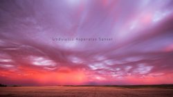 undulatus asperatus sunset