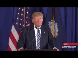 us praesident trump merkel ist e