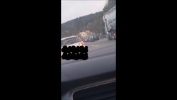 verkehrsrowdys fahren rueckwaert